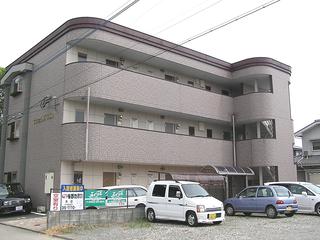 サンヒルズウエノ 305号室